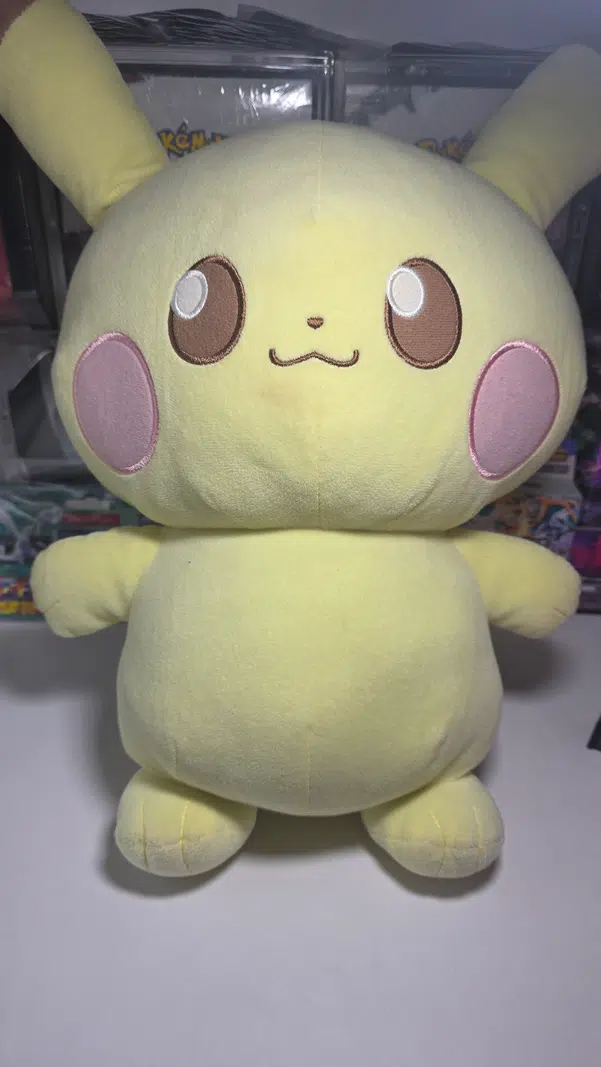 ImageUpload|15784906