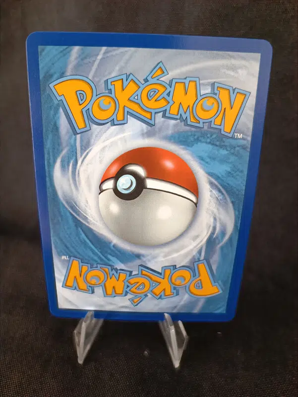 ImageUpload|13142468