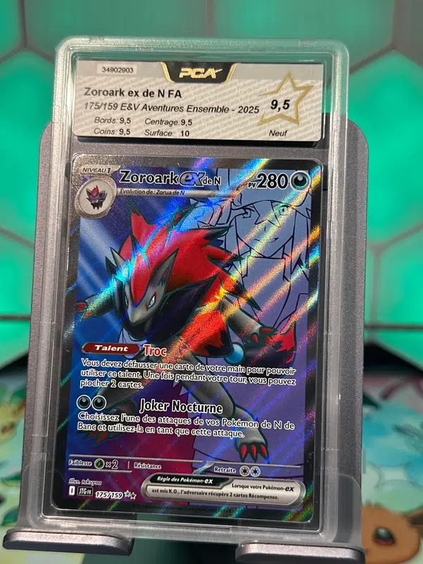 ImageUpload|10818887