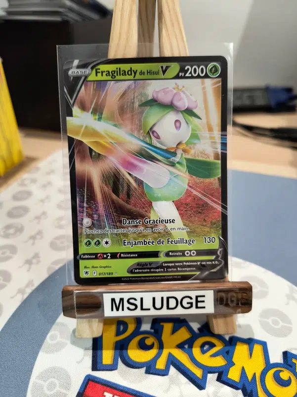 ImageUpload|13491021