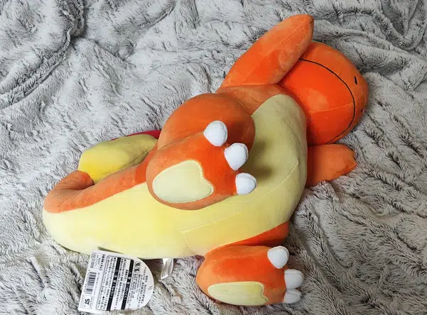 ImageUpload|10916469