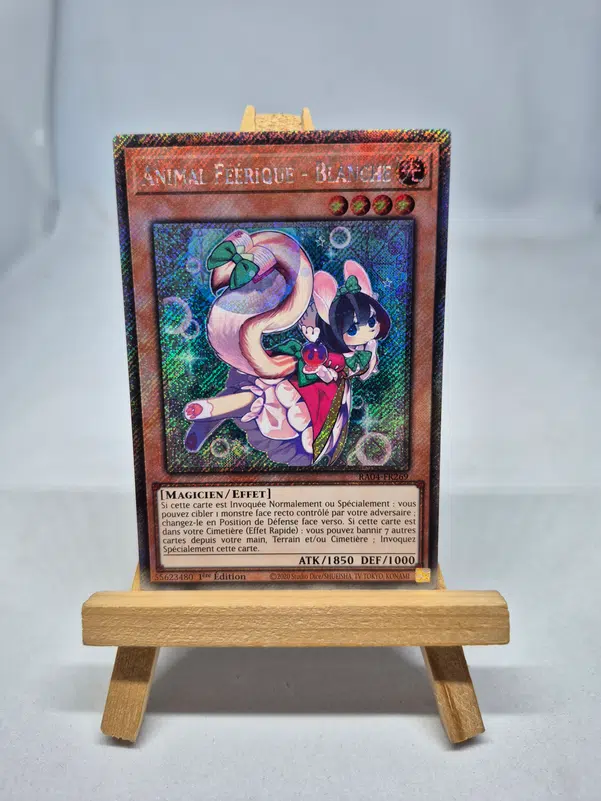 ImageUpload|10935308