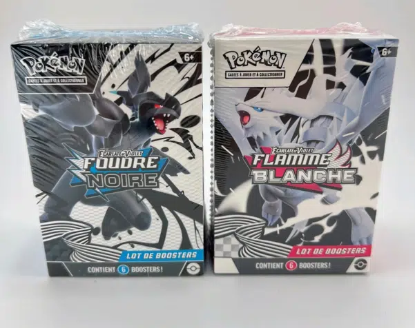 ImageUpload|13559419