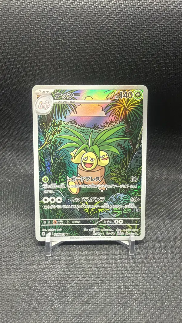 ImageUpload|13247746