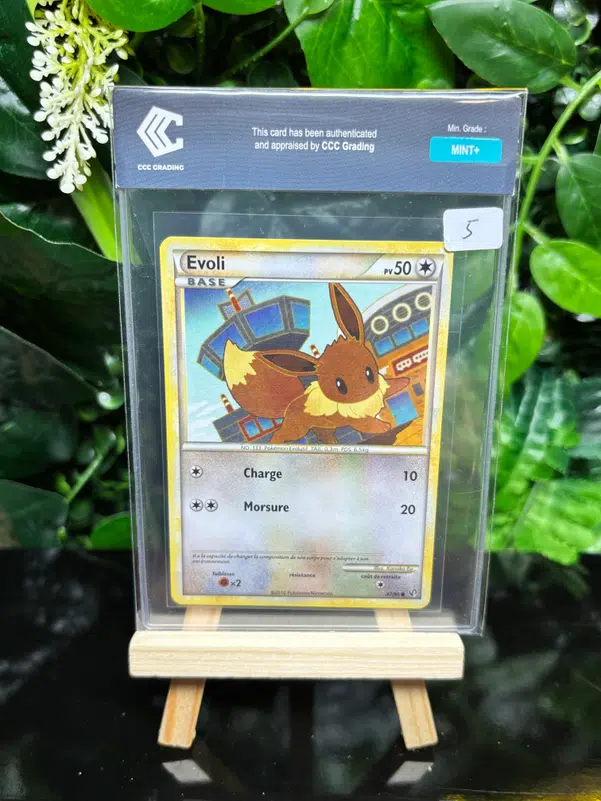 ImageUpload|13352000