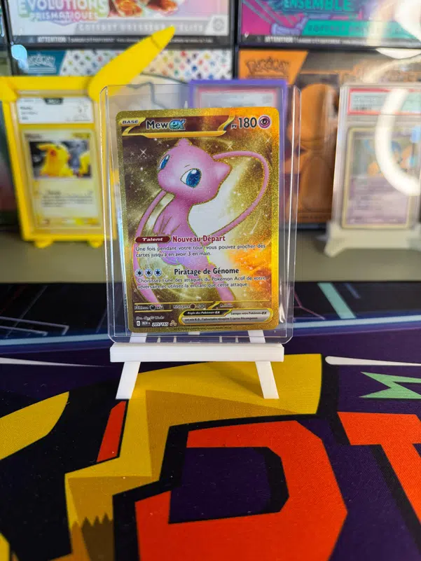 ImageUpload|10730349