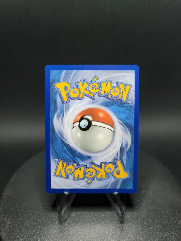 ImageUpload|10282586