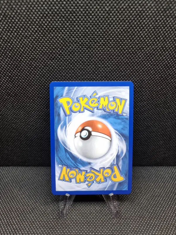 ImageUpload|11283412