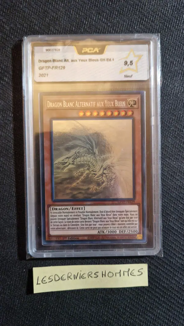 ImageUpload|13228567