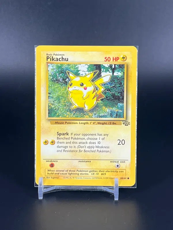 ImageUpload|13696078