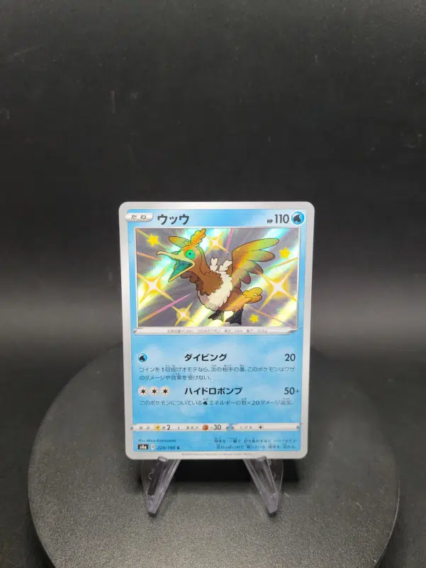 ImageUpload|10284746