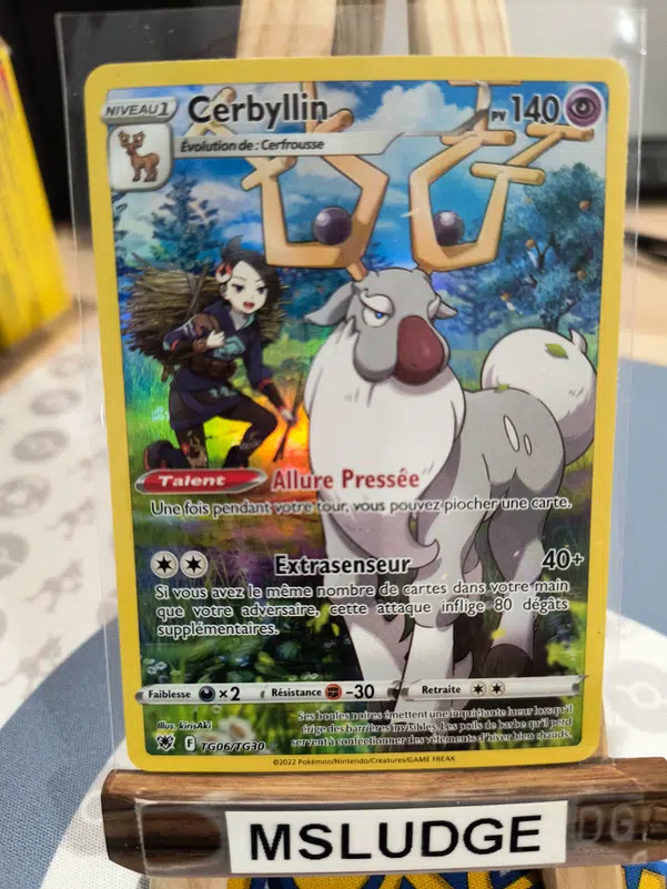 ImageUpload|13487184