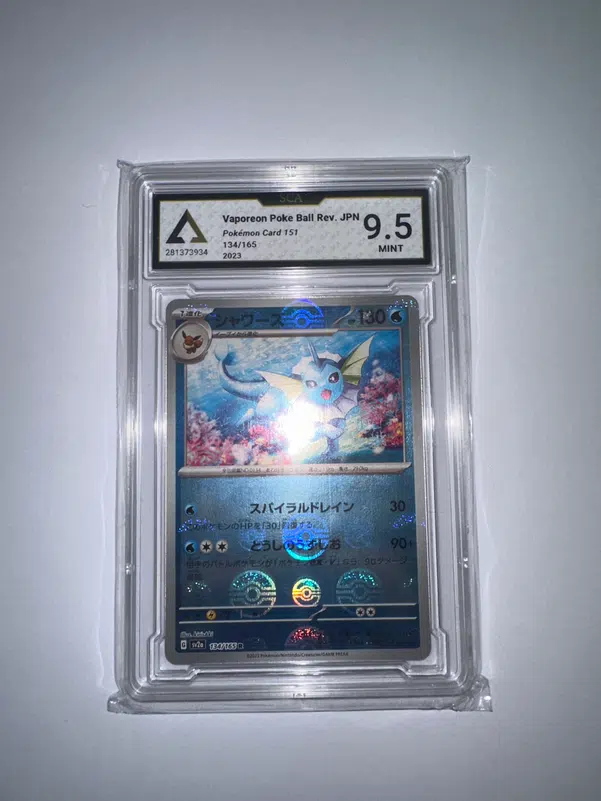 ImageUpload|13364382