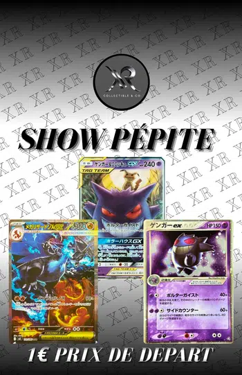 1e PDD MEGA SHOW JAPONAIS