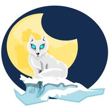 bb display bundle + carte a l unite