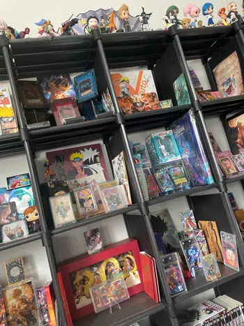 🌸 LE RETOUR : MULTI TCG, WAIFU, ONE PIECE, NARUTO, DEMON SLAYER ECT 🌸