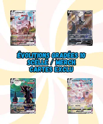 CARTES A L'UNITE SPECIAL EVOLITIONS