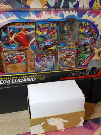 13/20 Enveloppes Mystères - Coffret Méga Lucario Figurine en Give Acheteur