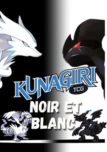 ✨🚨Ma collection Noir et Blanc !🚨✨
