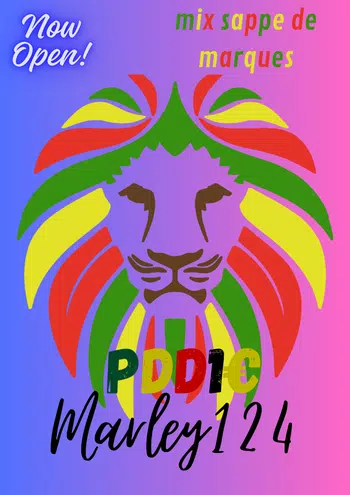 pdd1€ live mix marques vener de belle pépite