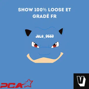 Show 100% FR cartes récentes en Loose et gradées vintage