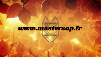 *Funko POP! Les Occasions MOP Partie 1*