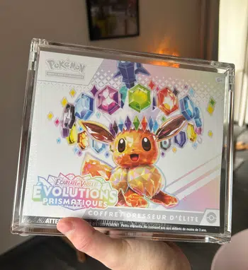 BOXBREAK EV8.5 // CARTES À LUNITE