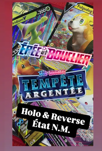 Full Holo / Reverse - EB Tempête Argentée - État N.M.