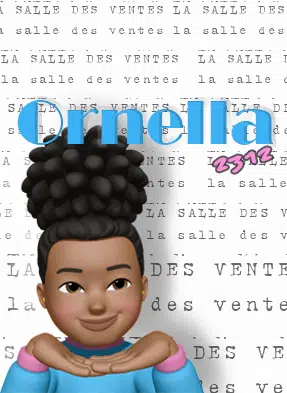 LA SALLE DES VENTES  D'ORNELLAXX ⚠️ 1€ PDD ❗