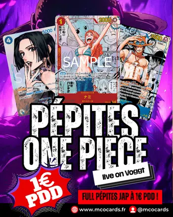 BIG SHOW ONE PIECE - PÉPITES JAP À 1E PDD !!
