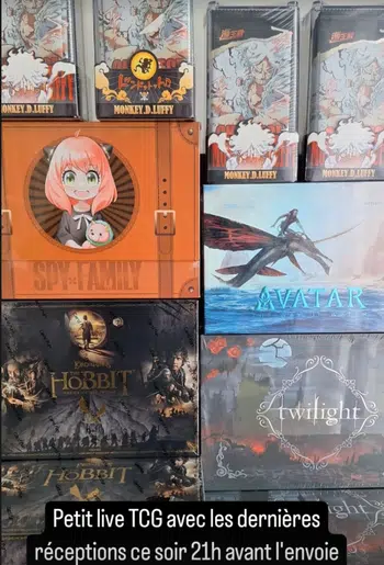 Boxbreak Multi TCG Hobbit, Spy x family Tortues ninja ZELDA Avatar, One piece Twilight