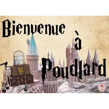 Le monde d'Harry potter pdd 1 euro