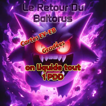 🎁SHOW 1PDD🎁 Cartes gradées / Loose FR et JAP👀