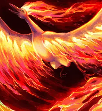 🔥🔥 GROSSE RÉCEPTION CARTES FR VINTAGE 🔥🔥