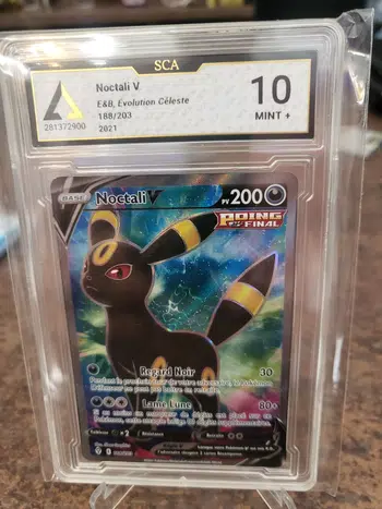 Evoli dans tous ses etats !!