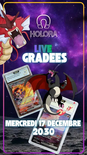 🧲 CARTES GRADEES EN FOLIE 🧲