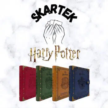 Harry Potter Kakawow ! DERNIER live de l'année !