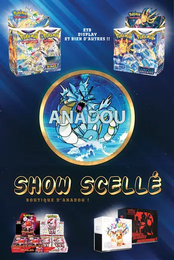 🚀🚨La Boutique d’ANADOU🚨🚀 Du scellé 🇫🇷, 🇯🇵…