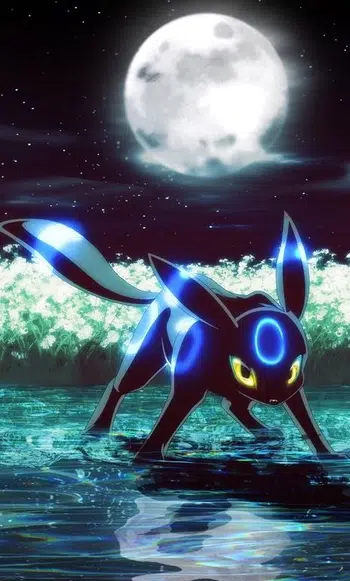 Carte a l'unité, tout en achats immédiat