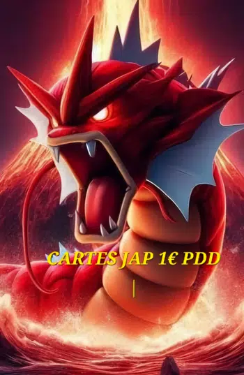 carte unité jap et fr 1€ pdd + box surprise