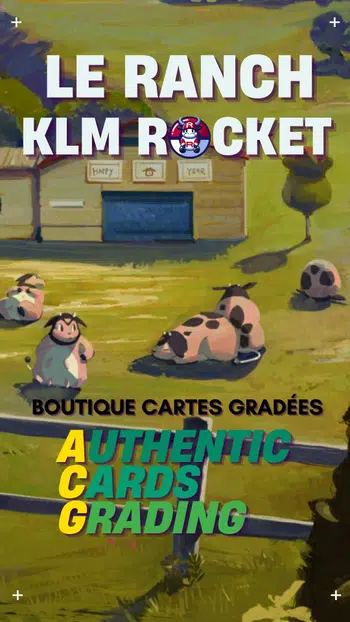 Cartes gradées Pokémon