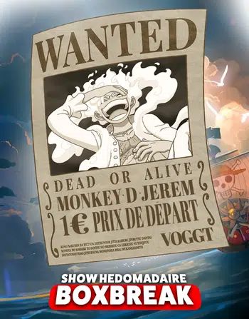 MEGA BOXBREAK ONE PIECE : JAP-FR-CHINOIS !
