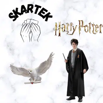 Harry Potter 1€ new case ! Explications Ticket d'OR 🎫