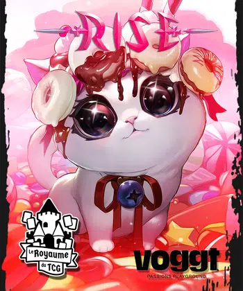 RISE depuis le Royaume du TCG Ft François et DavidLafarge