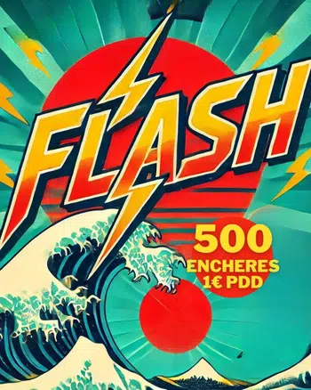 BIG Destock 500 encheres JPN&FR 1€PDD