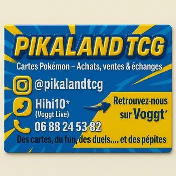 Cartes à l'unité 🇨🇵 FRANÇAIS 🇨🇵🇯🇵 JAPONAIS 🇯🇵 WIZARD JAP