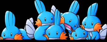 🔥Loose et Gradées 🇨🇵🇯🇵