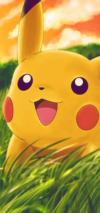 MEGA POKEMON CHINOIS 1€ PDD 🇨🇳