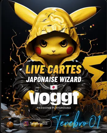 gros show anniversary  voggt 3 ans