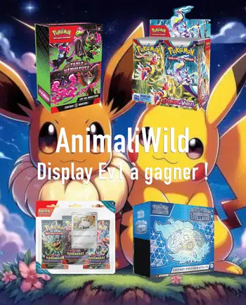 ⚡️ BoxBreak Ev6, Ev6.5 et Ev7 + Carte 1€ PDD, Give ⚡️